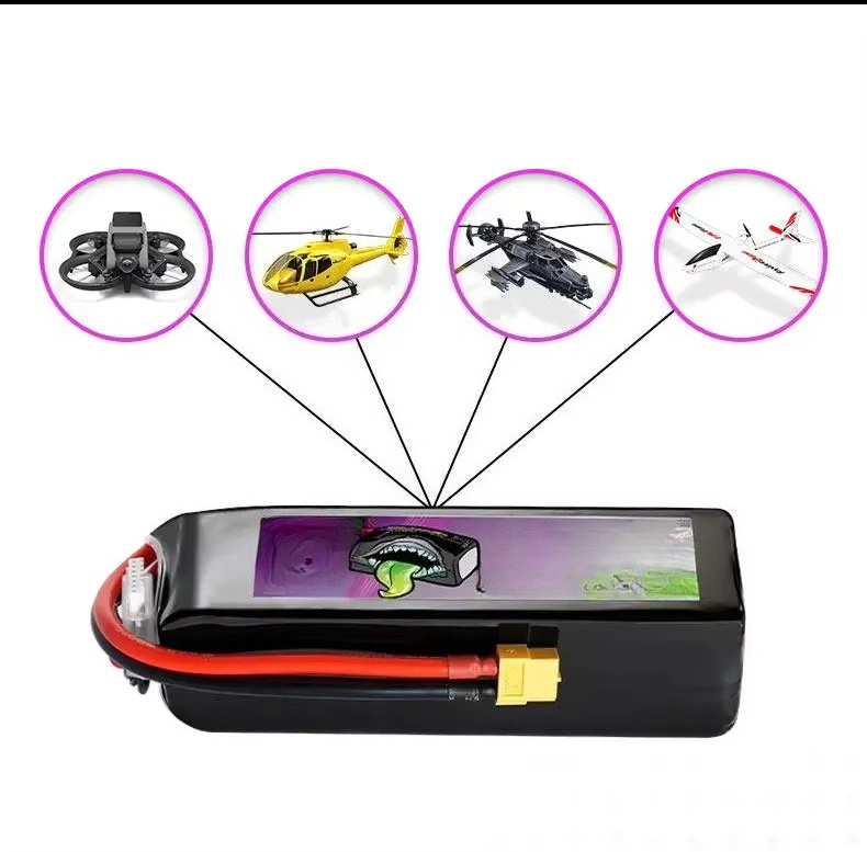 Lipo Battery 6S - Batterie Lipo Ovonic Rebel 110C 6S